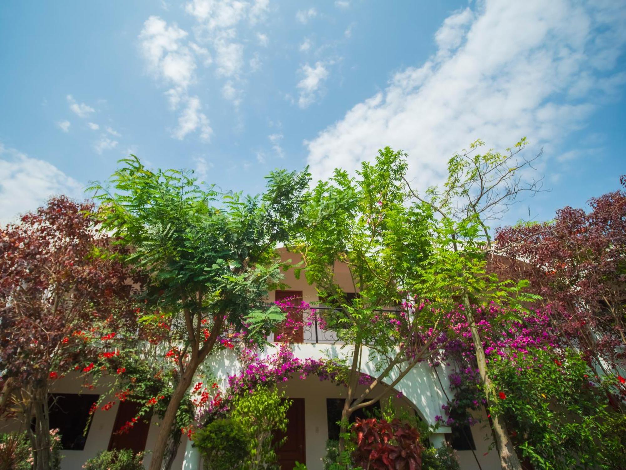 Casa Hotel Mamaluna Lunahuaná Zewnętrze zdjęcie